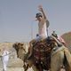 Trip-to-israel-camel-ride-may-19th-2011-001.jpg