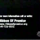 Ribbon-of-promise-social-issues-advertising-showtime-2002-121.png
