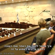 Trip-to-israel-special2-by-socialtv-2011-0520.png