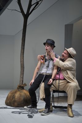Waiting-for-godot-berkshire-theatre-festival-on-stage-2008-009.jpg